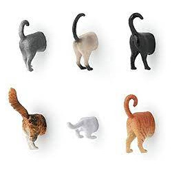 Aimants multicolores en forme de chat