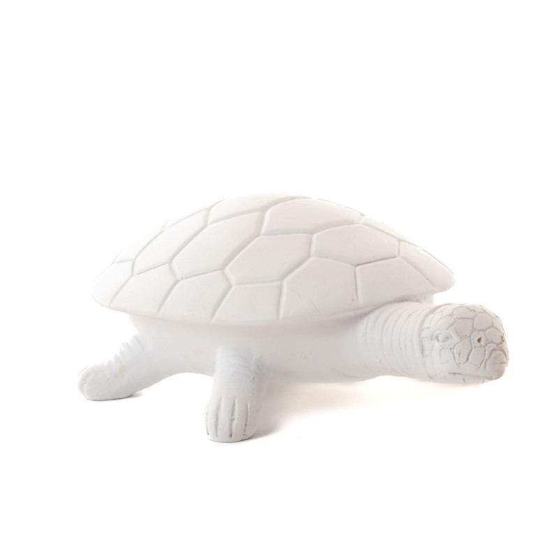 TORTUE BLANCHE