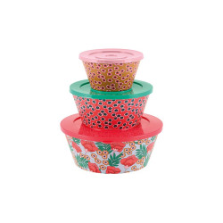 Saladier ( set de 3 + couvercles ) Japon TAITIC
