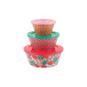 Saladier ( set de 3 + couvercles ) Japon TAITIC