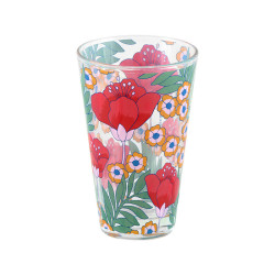 Set de 6 verres Japon vado