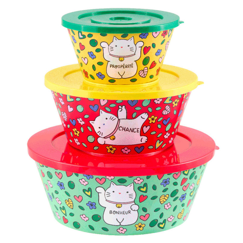 Saladier Chat bonheur