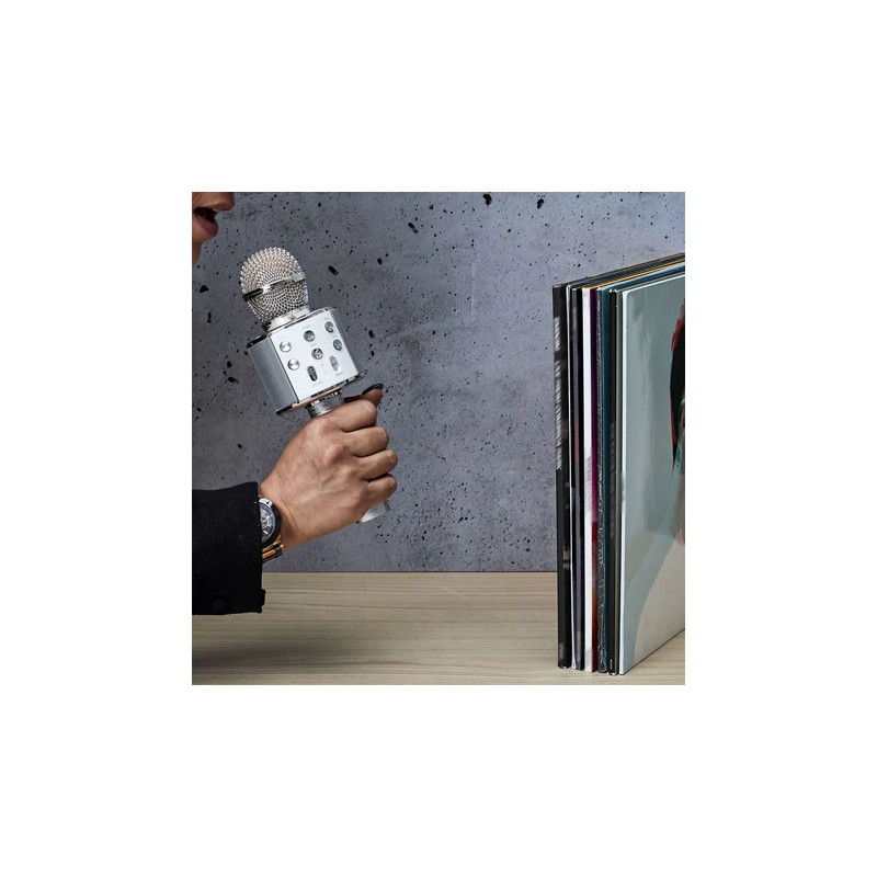 MICRO ENCEINTE KARAOKE